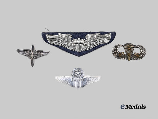united_states._a_lot_of_insignia&_badges_e_medals__w8763_2