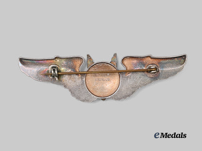 united_states._an_army_air_force_gunner’s_badge_e_medals__w8822_3