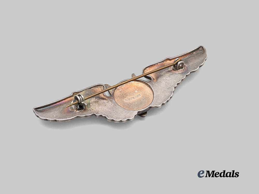 united_states._an_army_air_force_gunner’s_badge_e_medals__w8822_4