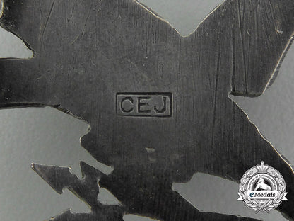 an_early_quality_cased_luftwaffe_radio_operator&_air_gunner_badge_by_c._e._juncker_e_1859