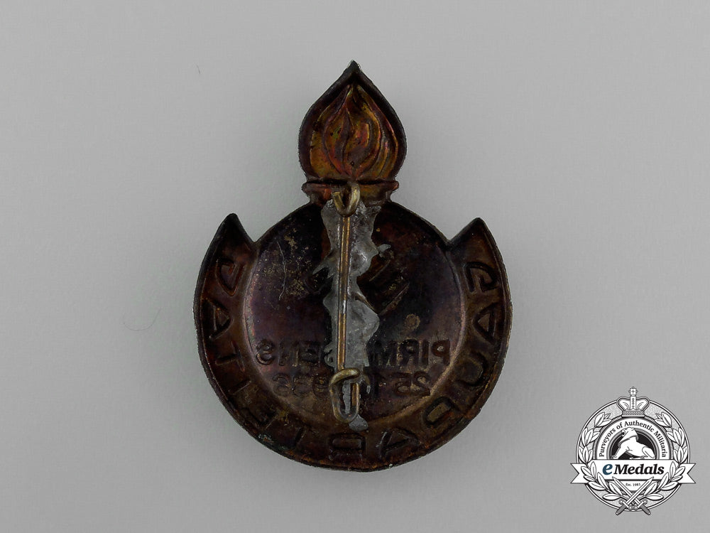 a1936_nsdap_pirmasens_regional_party_day_badge_e_2247