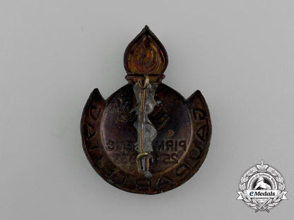 a1936_nsdap_pirmasens_regional_party_day_badge_e_2247