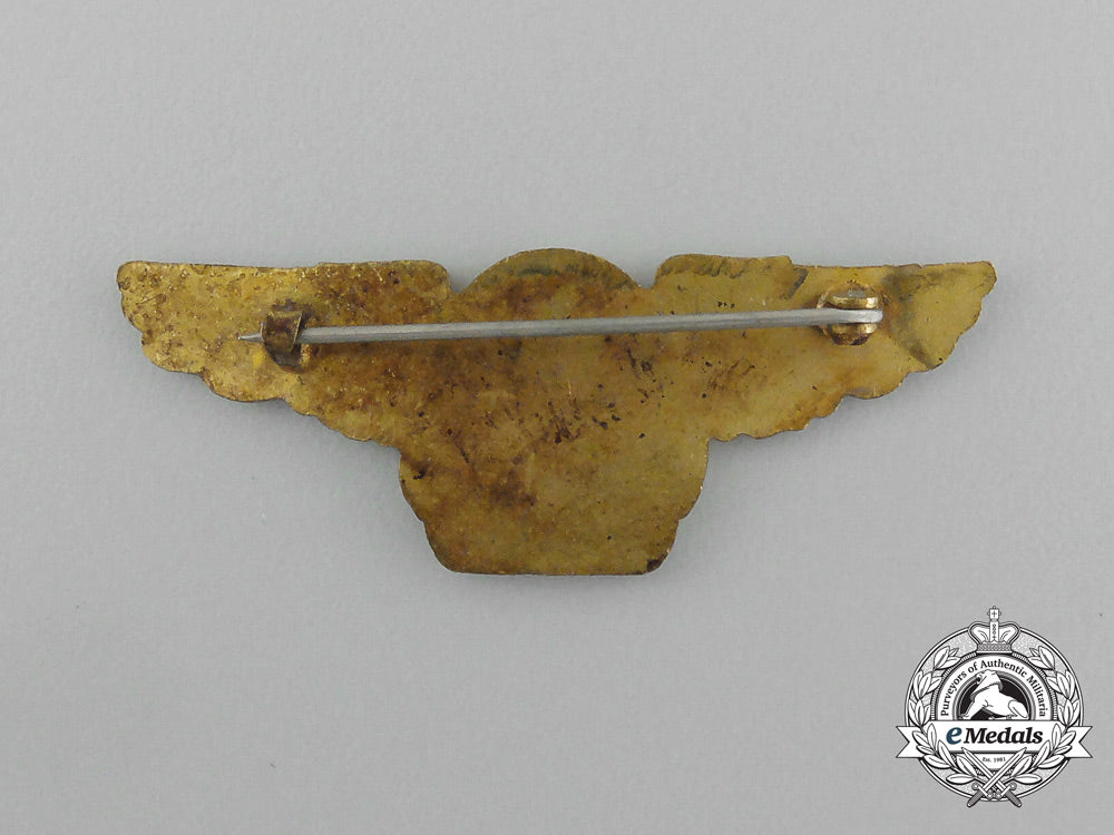 a_united_states_army_air_forces(_usaaf)_assistant_chief_observer_new_york_badge_e_2754