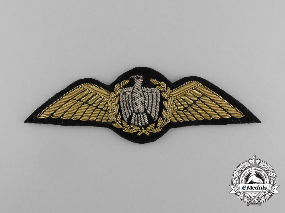 an_egyptian_air_force_pilot_badge_e_2827