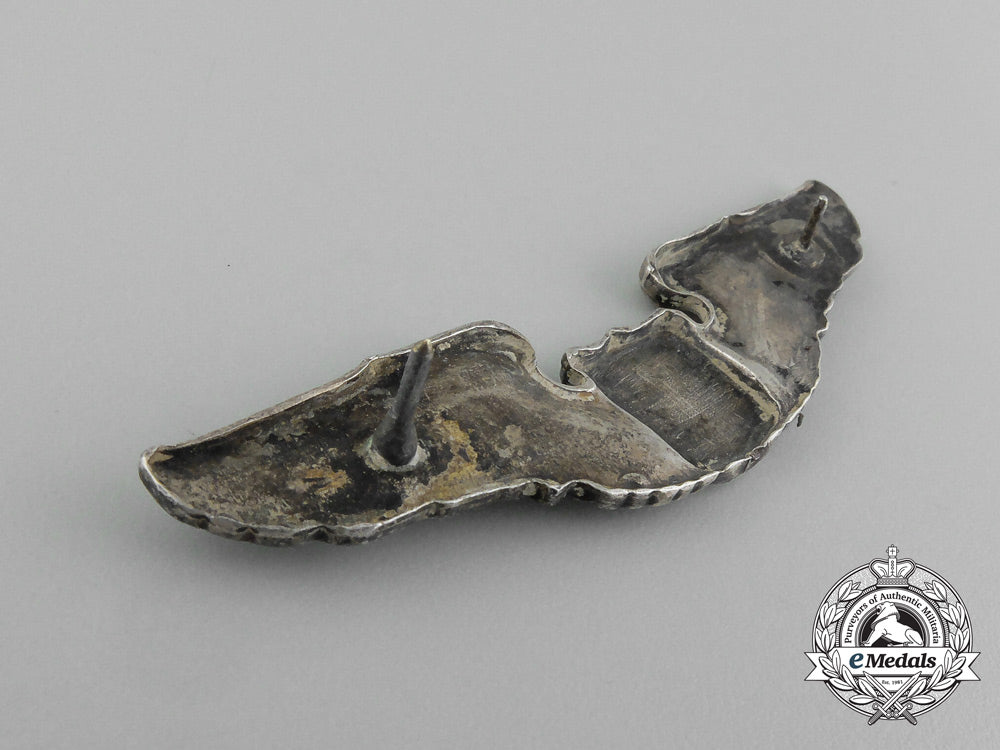 a_second_war_custom_american_army_air_force_wing_e_2855