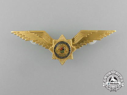 a_south_africa_police_pilot_badge_e_3339