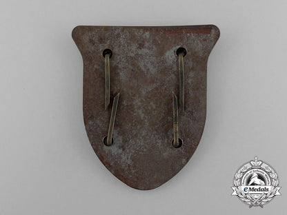 a_kuban_campaign_shield_e_4034