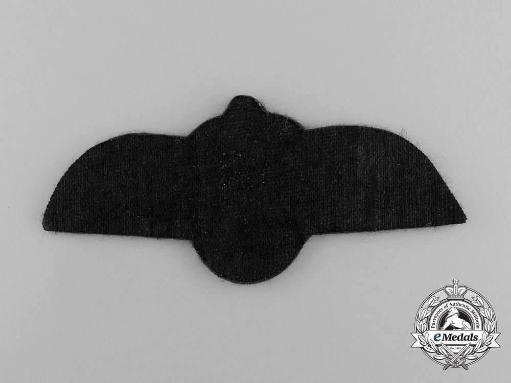 a_royal_jordanian_air_force_medical_flight_personnel_badge_e_5124