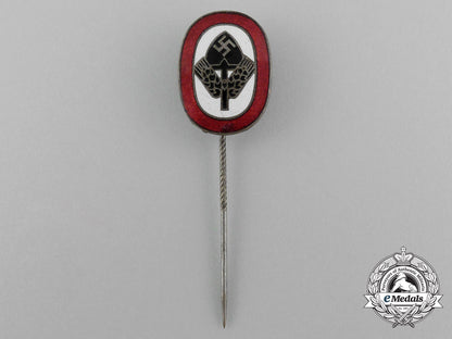 a_rad(_national_labour_service)_membership_stick_pin_e_6234