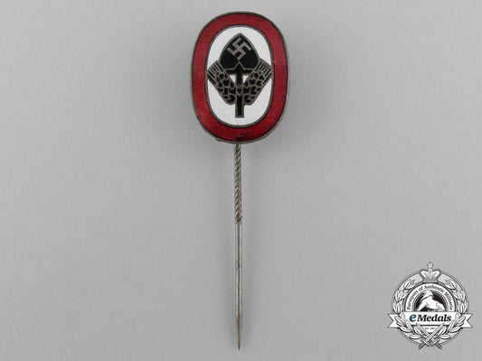 a_rad(_national_labour_service)_membership_stick_pin_e_6234