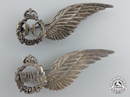two_second_war_royal_canadian_air_force(_rcaf)_wings_e_673