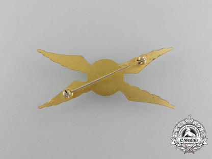 an_italian_army(_esercito_italiano)_pilot_badge_e_6803