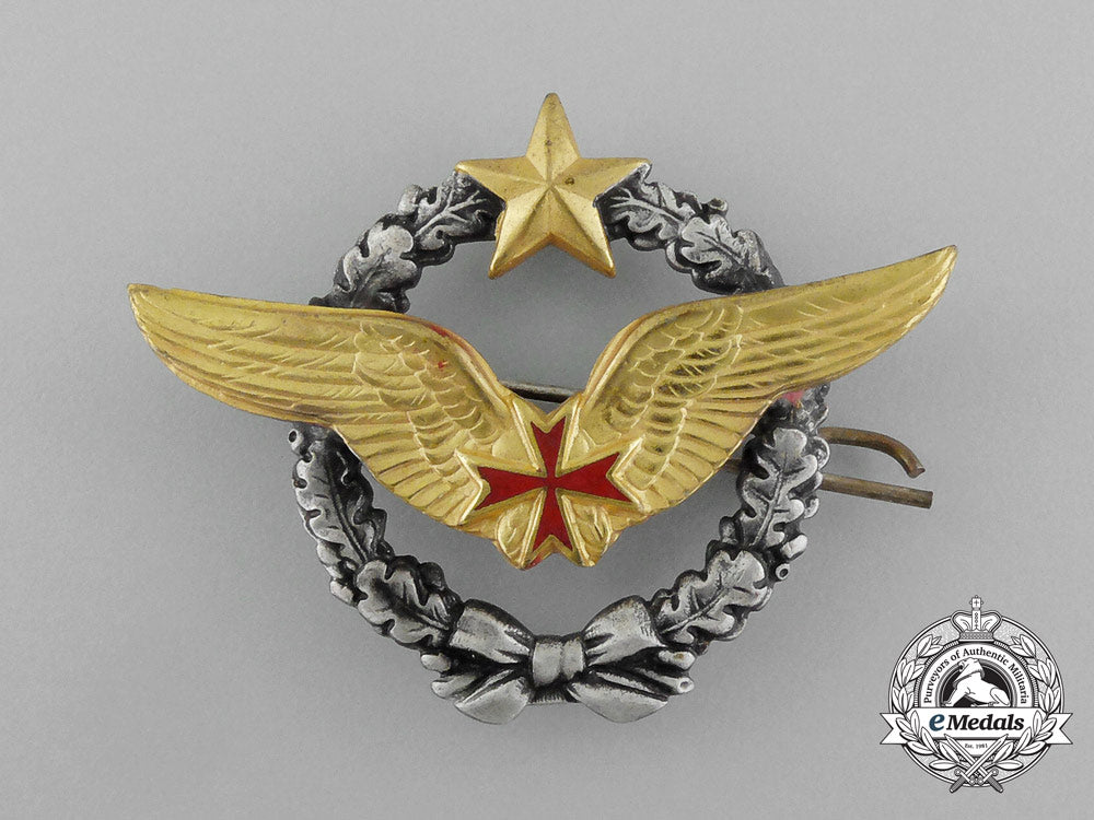 a_french_air_force_patient_pilot_badge_e_6818