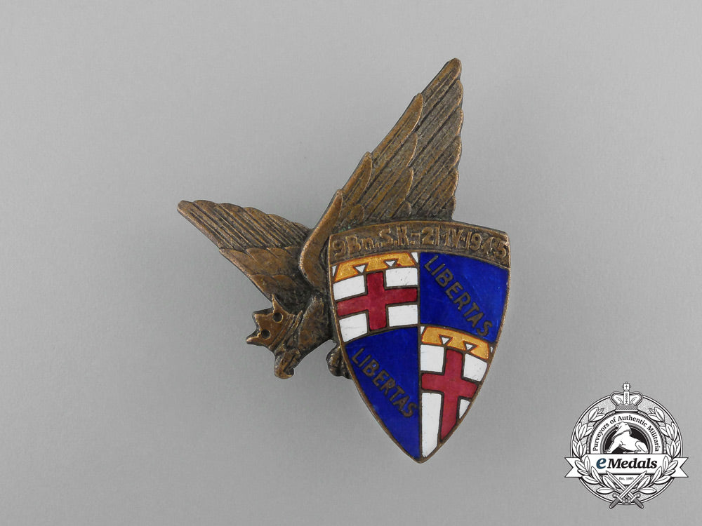 a_polish9_th_bolonski_battalion_of3_rd_carpathian_rifles_division;2_nd_corps_badge_e_8246