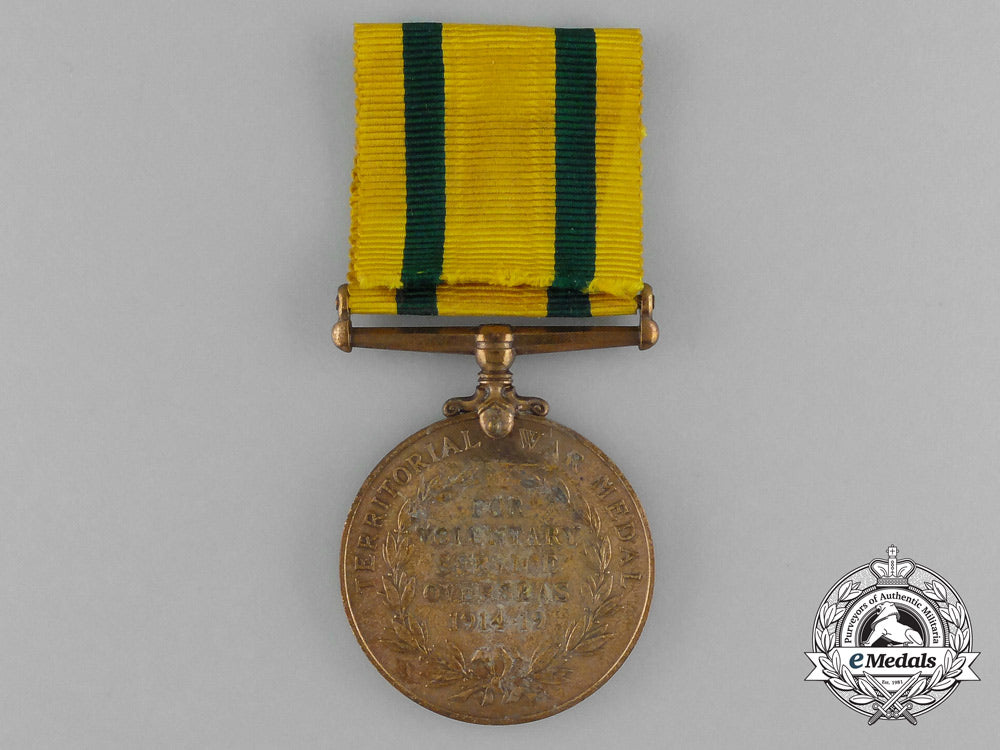 united_kingdom._a_territorial_force_war_medal,_devonshire_regiment_e_8501