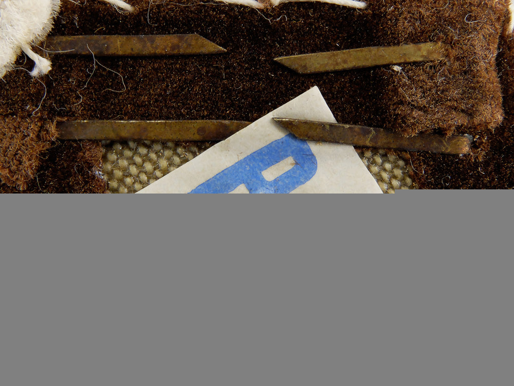 a_pair_of_kreis_hauptabschnittsleiter_tabs;_rzm_tagged_em25f