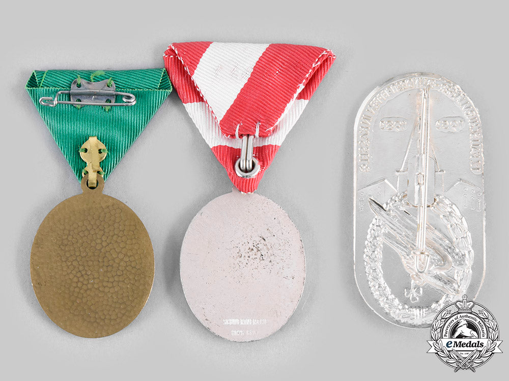 germany,_federal_republic._a_lot_of_fallschirmjäger_veterans_meeting_badges__emd1253_c20_01631_1_1_1_1