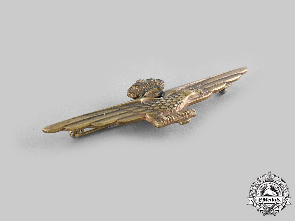 italy,_fascist_state._a_fascist_pilot_qualification_badge_c.1940__emd1699_c20_01809_1_1