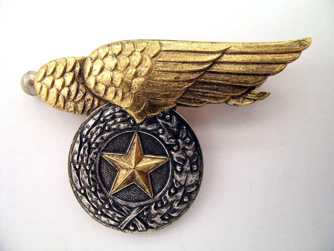 pilot’s_badge–_vietnam_era_f2070001