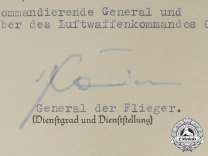 an_extensive_document_group_to_ace&_group_commander_fassong_with47_victories_f_496_1