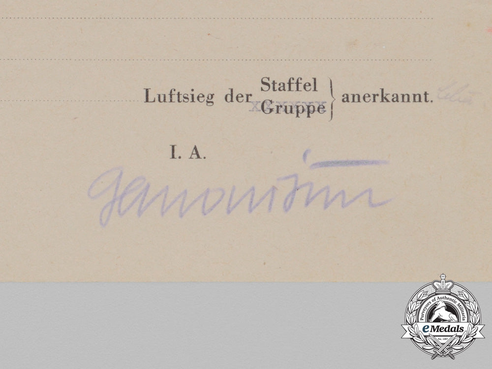 an_extensive_document_group_to_ace&_group_commander_fassong_with47_victories_f_517_1