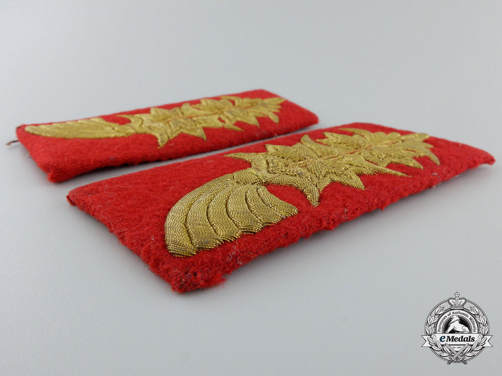 a_pair_of_generalleutnant’s_shoulder_boards_and_collar_tabs_g_204