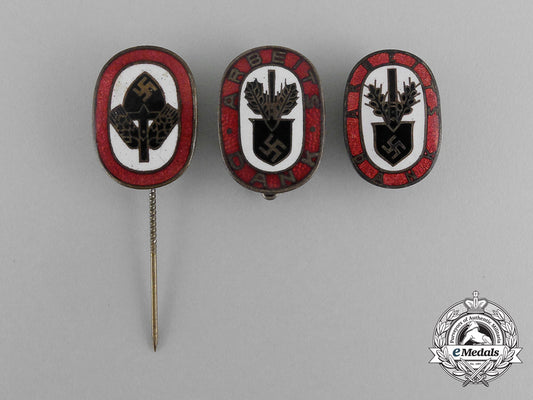 three_rad(_national_labour_service)_stick_pins_and_badges_g_734_2