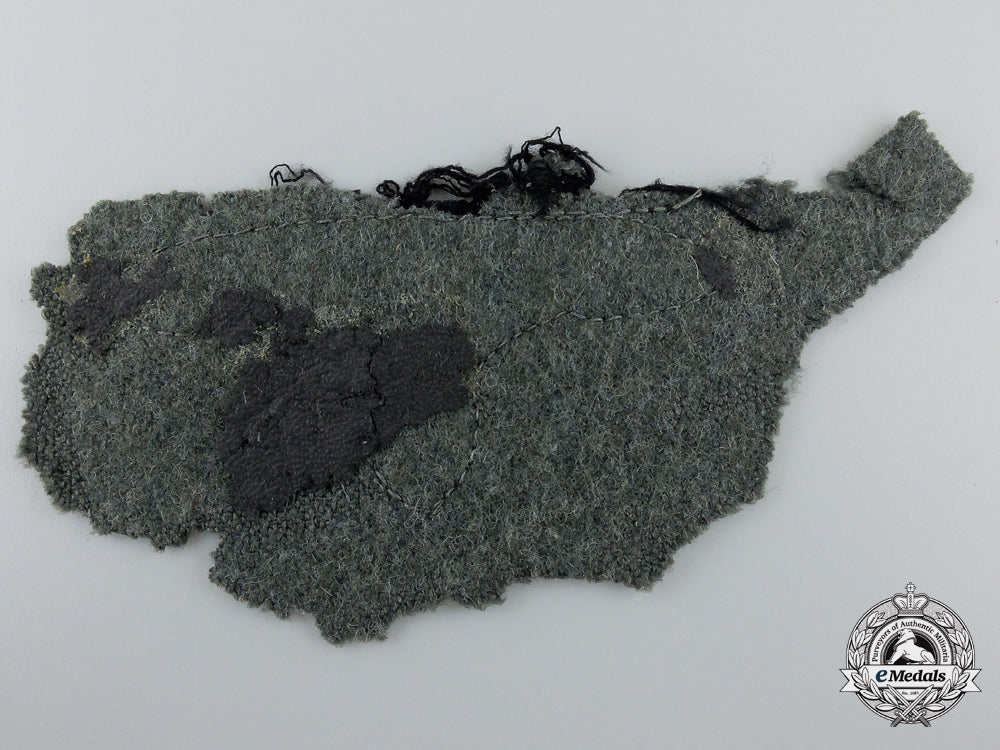 an_ss_sleeve_eagle_with_piece_of_uniform_g_782