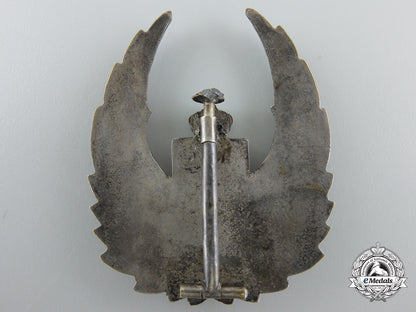 romania,_kingdom._an_observer's_badge,1940-1945_g_921_2