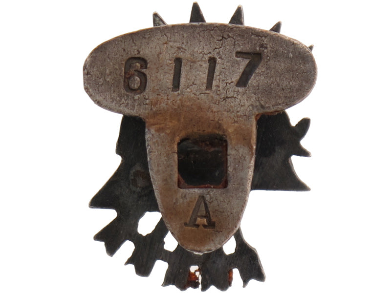 spanish”_blue_division”_members_badge_gra36280002