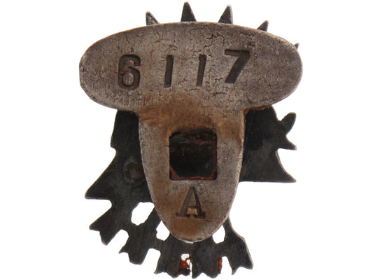 spanish”_blue_division”_members_badge_gra36280002