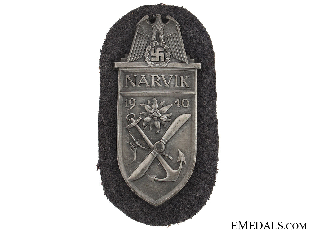 narvik_shield_grab4265