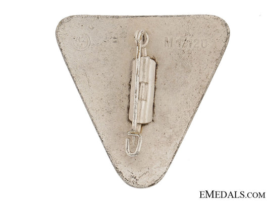 nationalsozialistische_frauenschaft_badge_grcb3809a