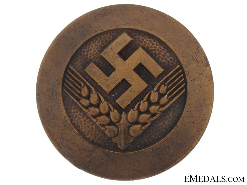 radwj_arbeitsmaid_rank_brooch_grcb3824