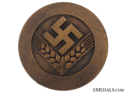 radwj_arbeitsmaid_rank_brooch_grcb3824