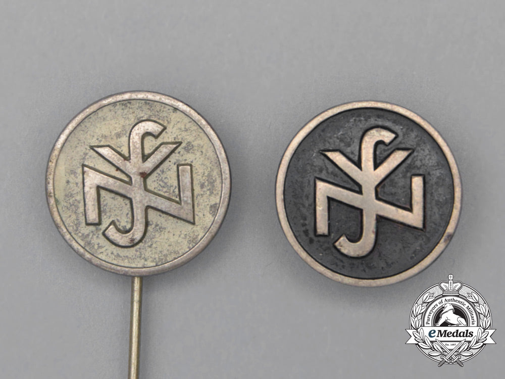 two_nsv(_n.s_people’s_welfare)_badges_and_stickpins_h_638_1