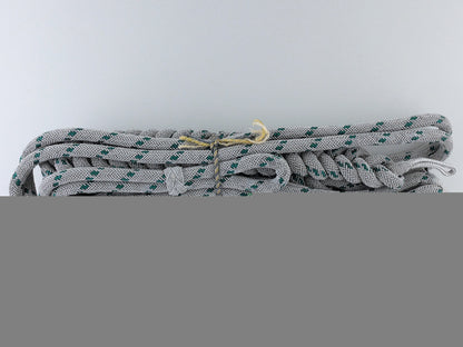 a_mint_german_forestry_official's_aiguillette_h_992