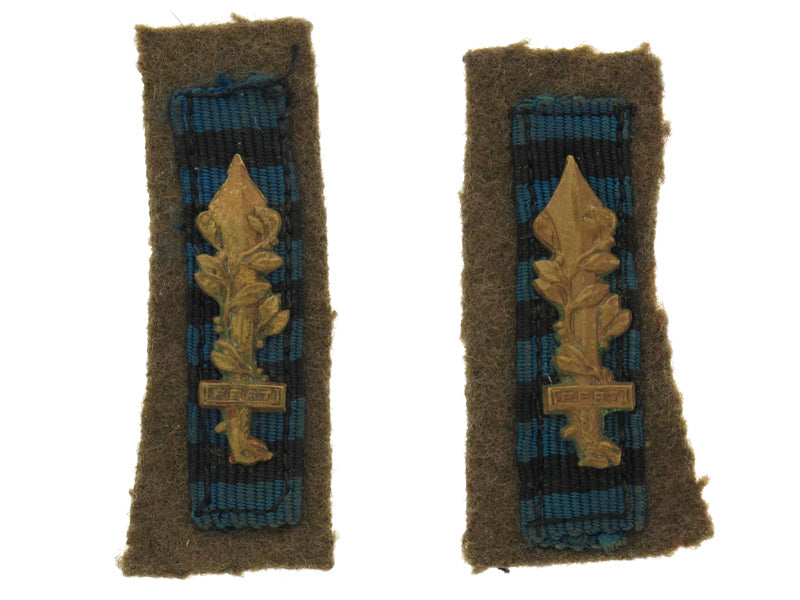 wwii_pair_of_fascist_army_collar_tabs,_fert_i3460001