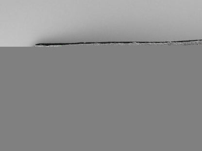 a_land_custom’s_official’s_brocade_belt_and_buckle;_published_example_i_037_1