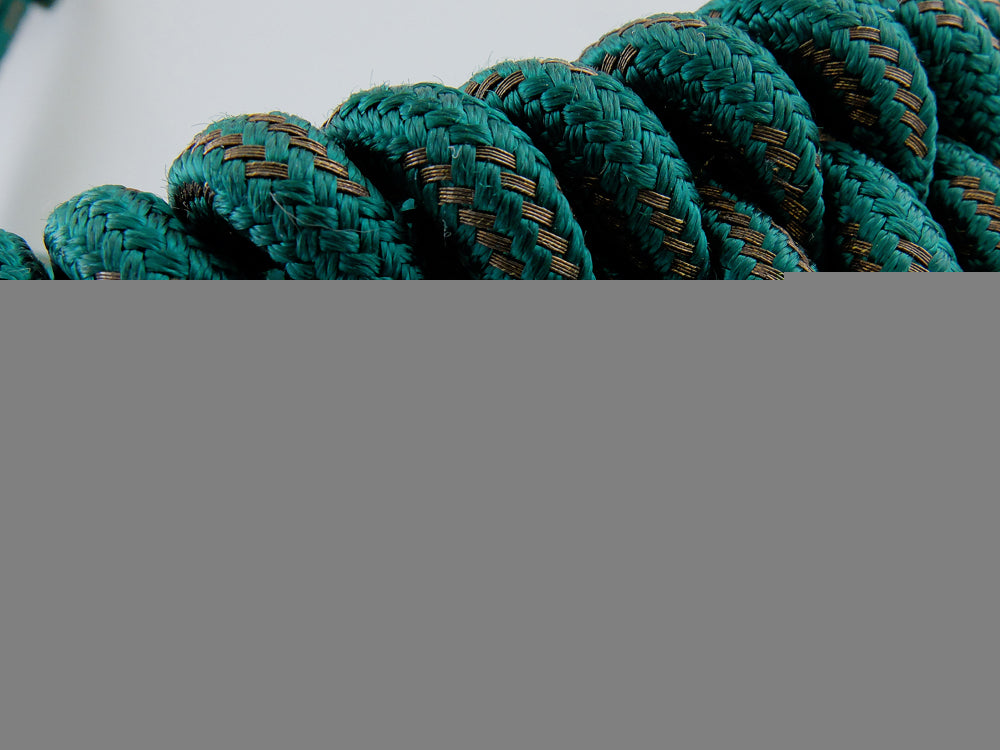a_german_forestry_officer's_aiguillette_i_118