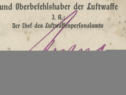 a_luftwaffe_night_fighter_award_document_group_to_unteroffizier_wildschütze_i_191
