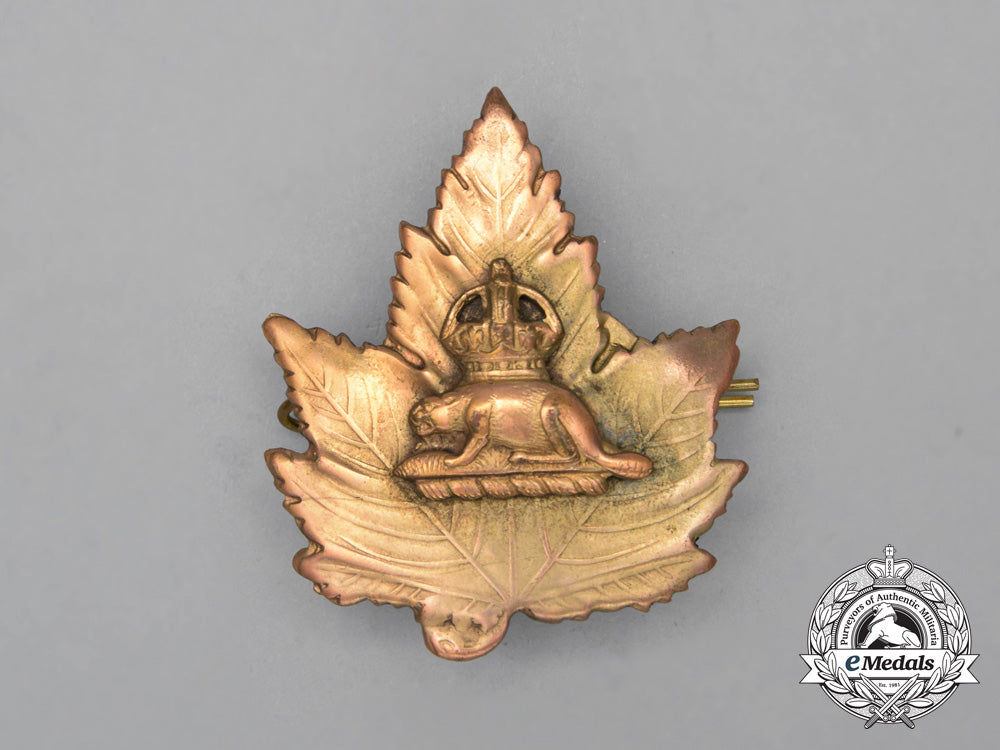 an_early_toronto_constabulary_officer's_cap_badge_i_251_1