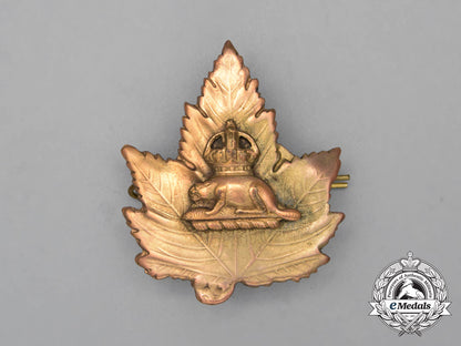 an_early_toronto_constabulary_officer's_cap_badge_i_251_1