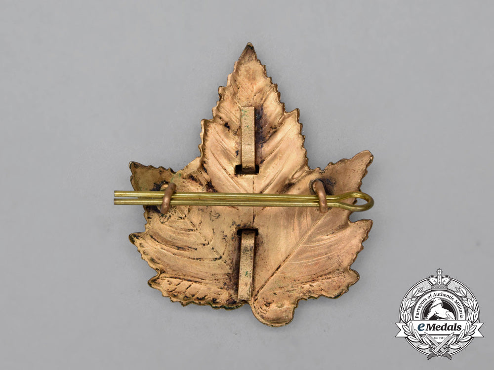 an_early_toronto_constabulary_officer's_cap_badge_i_252_1