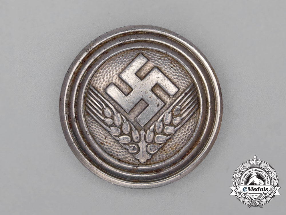 a_radwj(_national_labour_service_of_female_youths)_female“_kamaradschaftsälteste”_rank_brooch_i_377_1