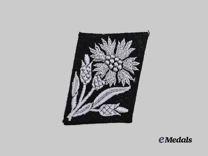 germany,_s_s._a_mint22nd_s_s_volunteer_cavalry_division_collar_tab_e_medals__g62977_2