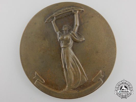 a_hungarian_commemorative_jubilee_table_medal_img_01_19_21
