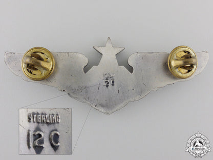 a_u.s._flight_surgeon_wings_img_02.jpg557061620bc39