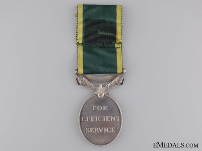 canada._an_efficiency_medal_to_the_royal_canadian_artillery_img_02.jpg541d8a7960259