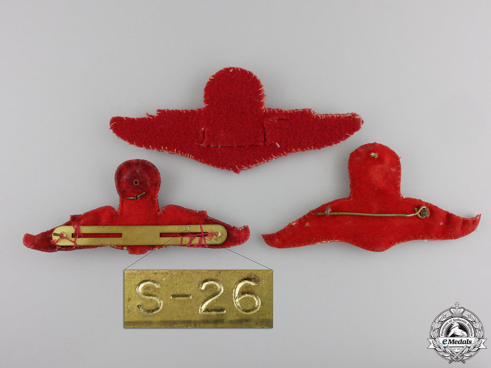 three_thai_paratrooper_jump_badges_img_02.jpg55bf86c793650